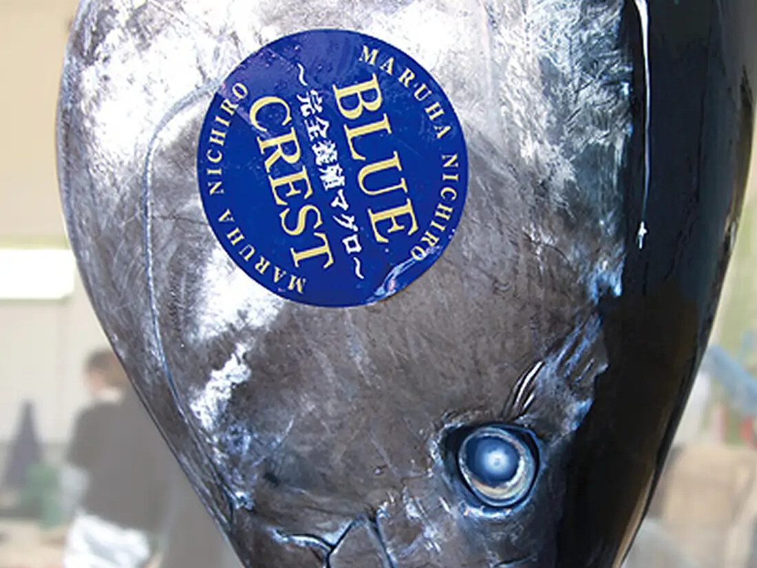 奄美大島産 完全養殖クロマグロ BLUE CREST